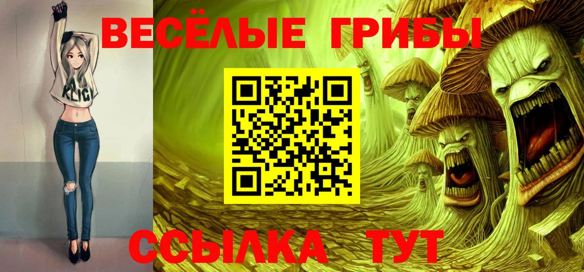 Псилоцибиновые грибы GOLDEN TEACHER Волжск