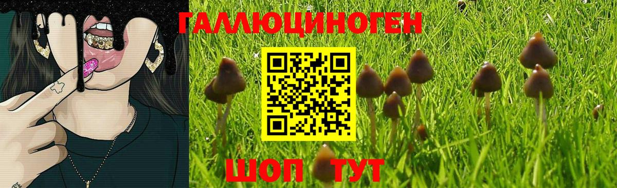 Галлюциногенные грибы ЛСД  Галлюциногенные грибы Magic Shrooms  Вход с VPN  Волжск 